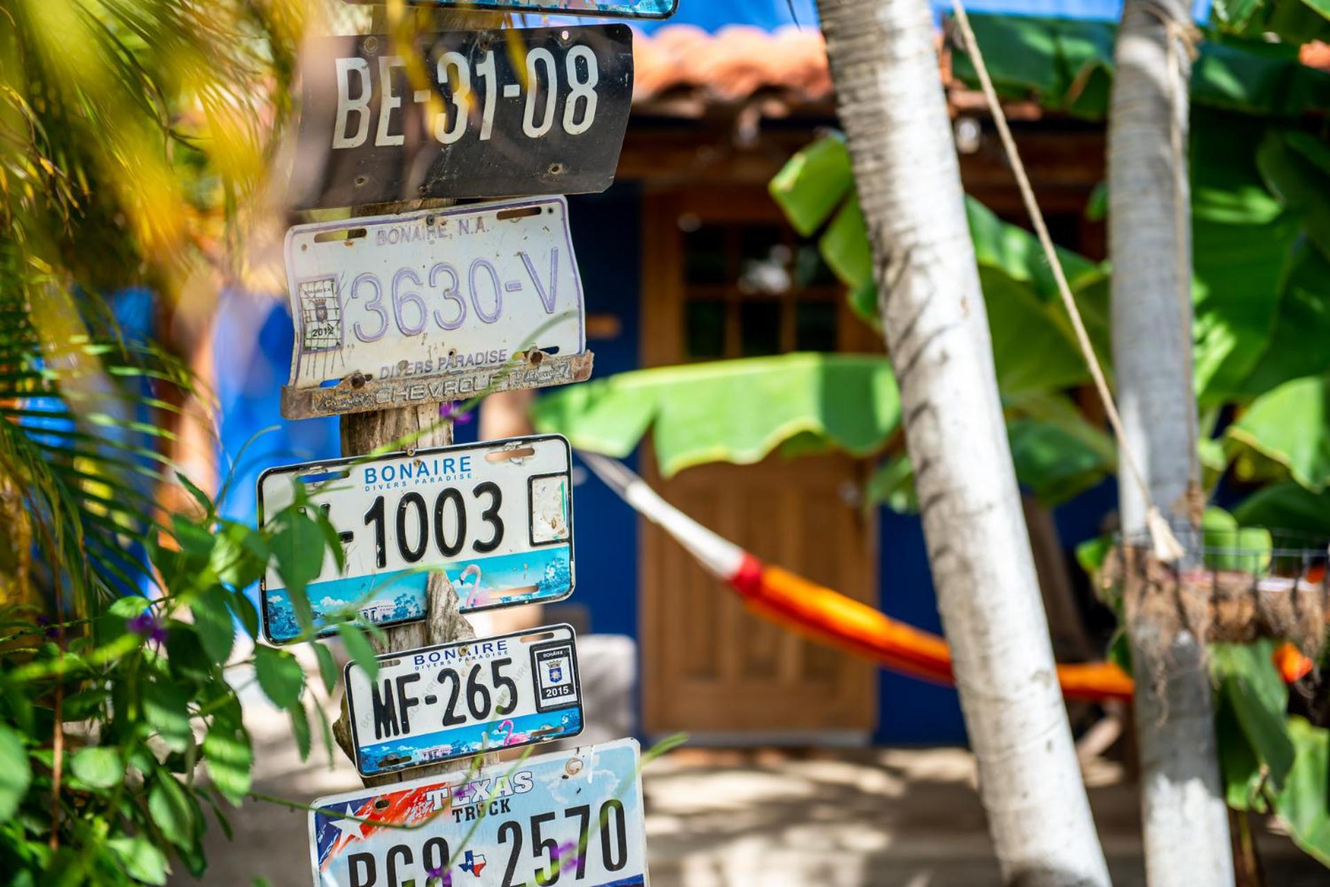 Casa Calexico Daire Playa Dış mekan fotoğraf